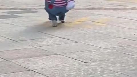 funny cat videos|funny videos 2023#funnycatvideos#funnyclipsvideo