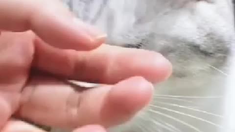 big watery eyes