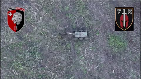Look at this impressive work of the drone operator and his little helper! The