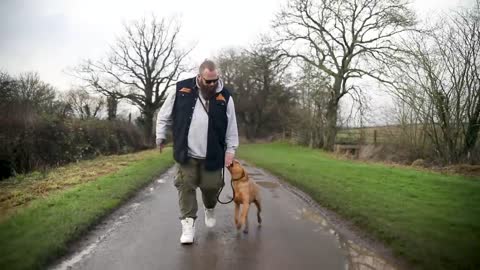 Spring dog training