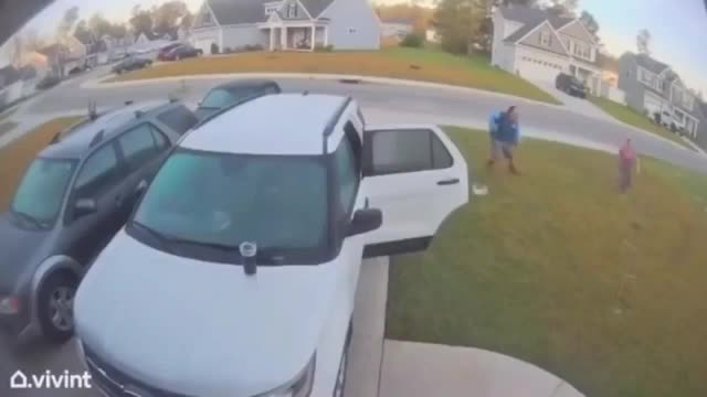 Cats Attacking Their Owners - Cats Attack