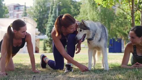 Dog training