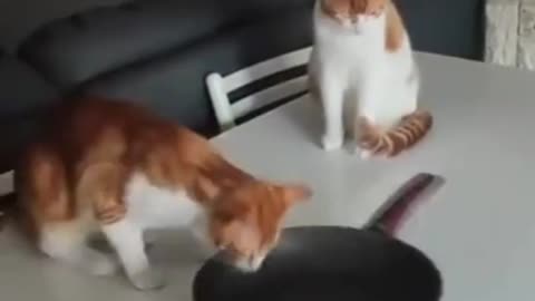 Such a discovery
