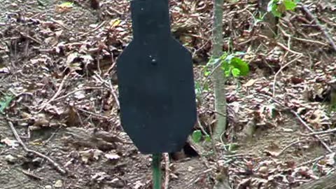 Glock 19 Smiles