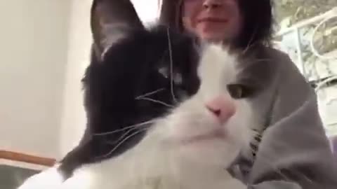 #Shortyoutube#Pets#FunnyAniamls#cute