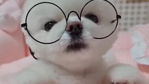 Don Wanna Study😩😩 ➖