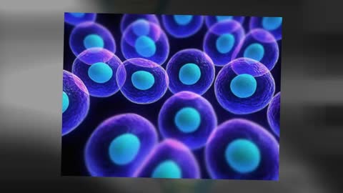Stem Cell Boca Raton
