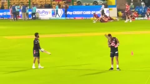 cricket lover