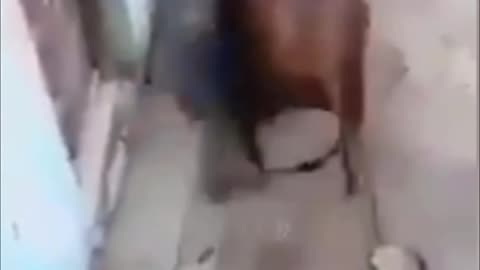 Well Deserved Karma