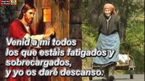 LA LUZ VERDADERA