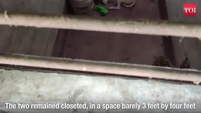 How Dog Survived In toilet with Leopard Tiger in 7 hour