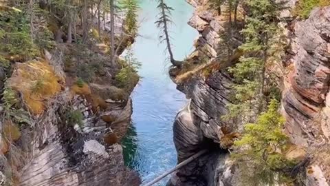 The canadian rockies