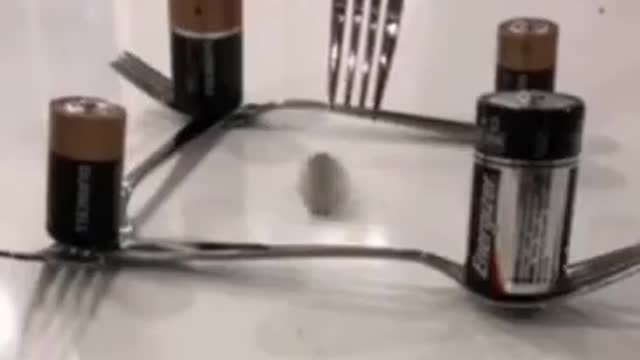 フリーエネルギーFree energy