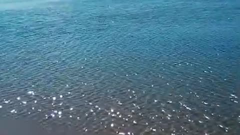 NATURE AS HEALER (Calm Your Soul)