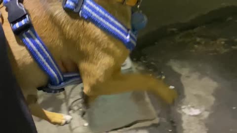 He Air-Walks Very Properly