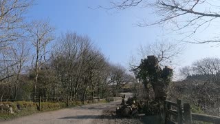 Going for drive in Dartmoor.