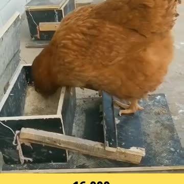 Woodworking ke video