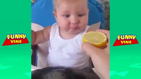 FUNNY BABIES EATING LEMON