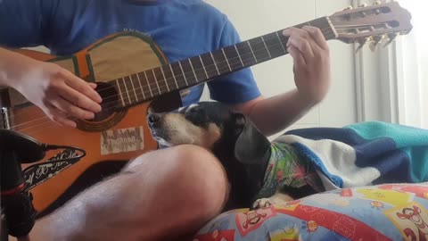Puppy sleeps as he listens to music