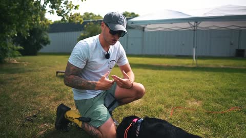 HOW TO SAFELY TRAIN A DOG COMPLETELY OFF LEASH!