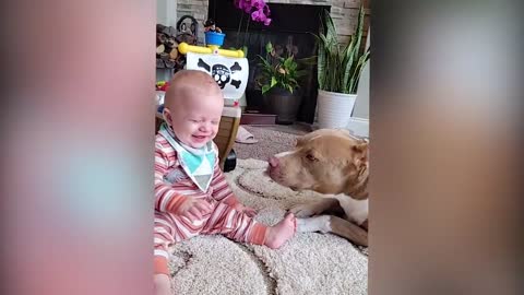 Cutest Babies Play With Dogs And Cats Compilation