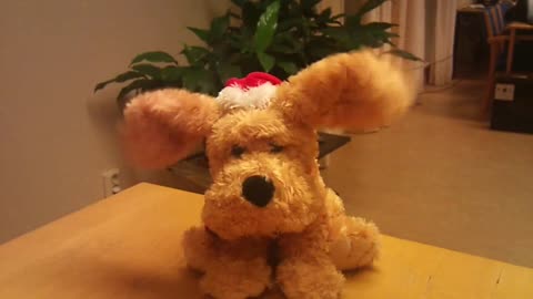 Cute and adorable dog join Christmas day try not to laugh funny video