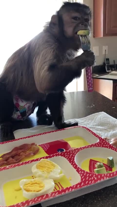 Good Morning! Enjoying my breakfast 🥑! My mom is working on my amazon wish list too! So many have