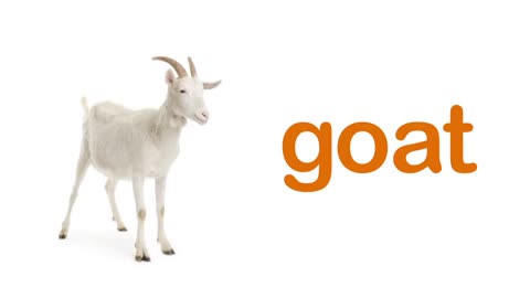 FARM ANIMALS names Learning and teaching for babies.