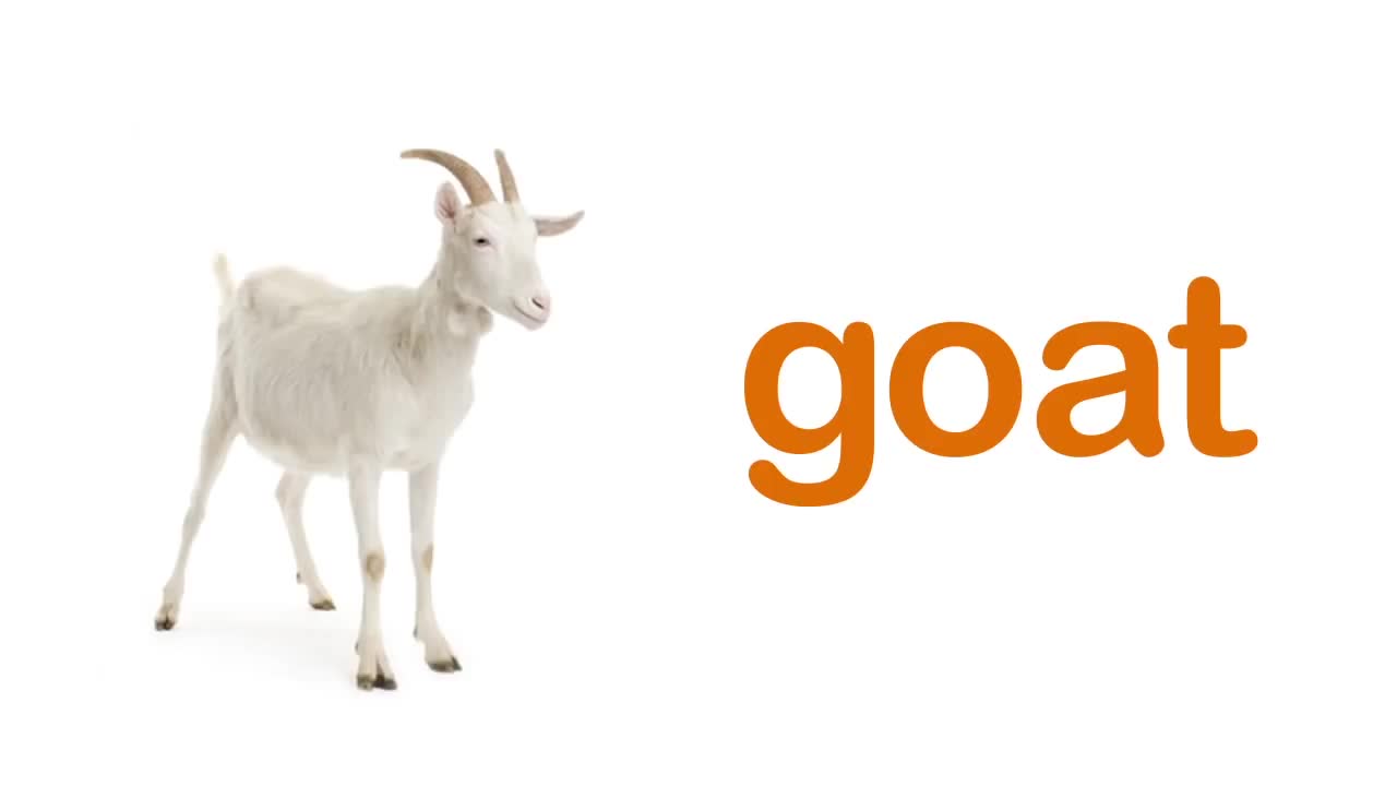 FARM ANIMALS names Learning and teaching for babies.