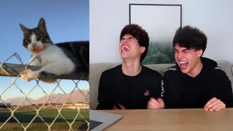 TIKTOKS that I actually laugh at