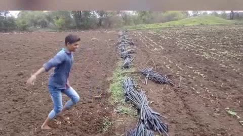 Top 10 memes fonny videos