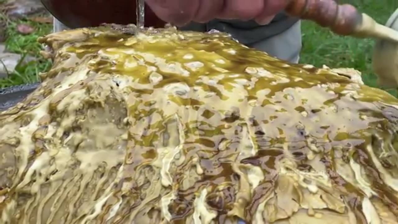 You've Never Tasted Meat Like This!