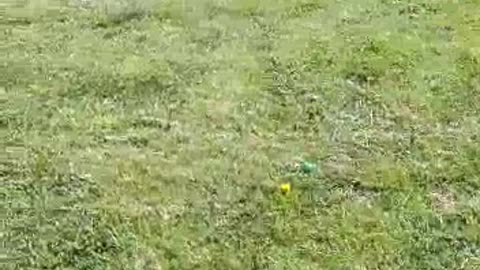 BOMPORTO (MO) - SINDACO CHIUDE IL PARCO AI BAMBINI