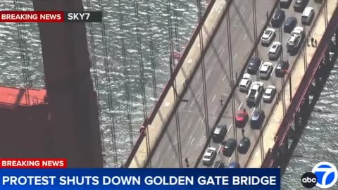Pro-Palestinian Protests Disrupt Traffic Across Major Bay Area Routes