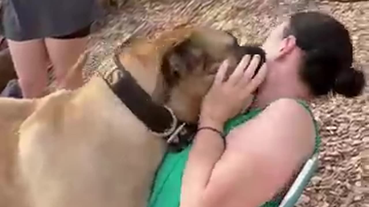 Dog dog ke bare mein kaise sikhe