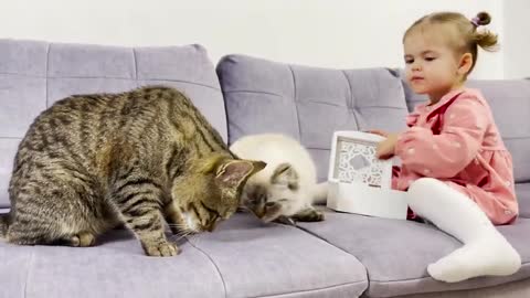 Cute_Baby_and_Two_Hungry_Cats