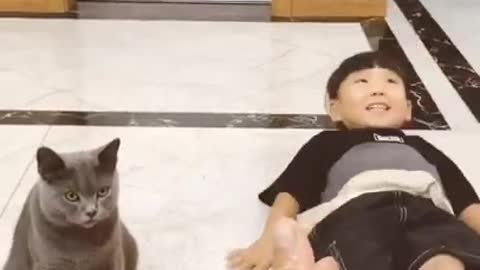 Cat playing dead - Funny
