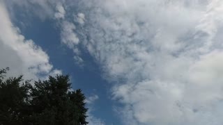 KLAWDS TL AUG 18 2021 Ydtl0197