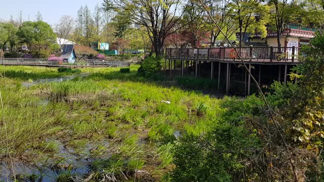 The front swamp of Seoul Children's Grand Park