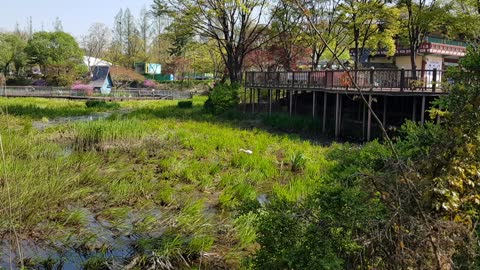 The front swamp of Seoul Children's Grand Park