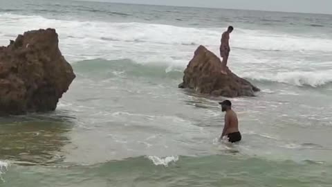 Freestyle