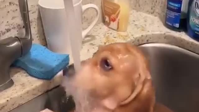 Bath time