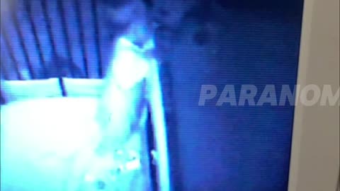 Paranormal activity #9