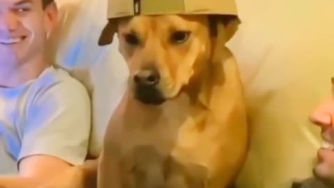WATCH Till the END DoG Rocks!!!