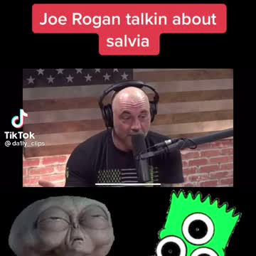 Joe Rogan talks about tripping