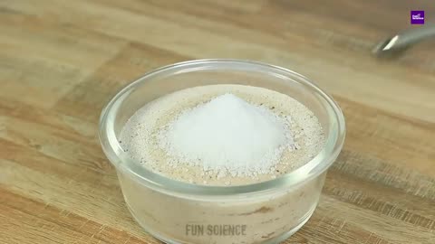 Many Amazing Experiments