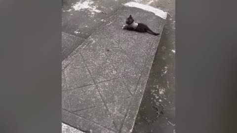 BEST FAILS EVER