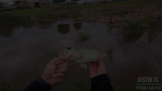 Bass Fishing After Heavy Rain