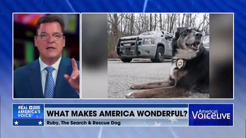 🐶🐕‍🦺What Makes America Wonderful