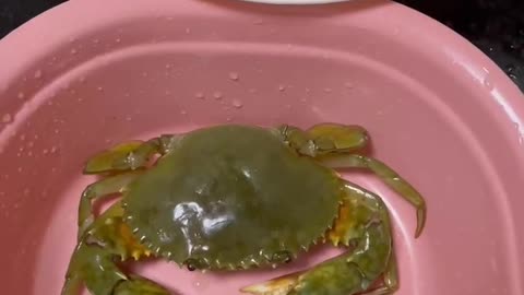 Crab